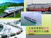 济南版七年级下册生物 3.1物质运输的载体 课件