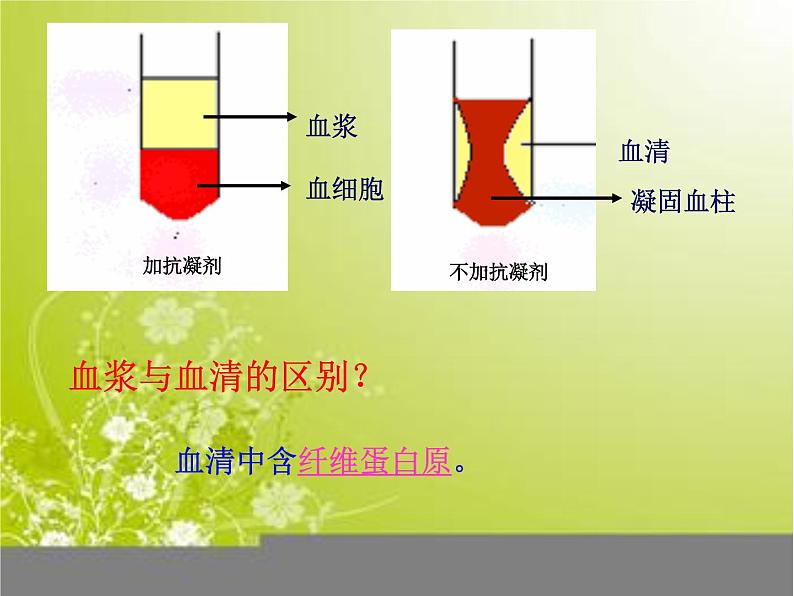 济南版七年级下册生物 3.1物质运输的载体 课件07