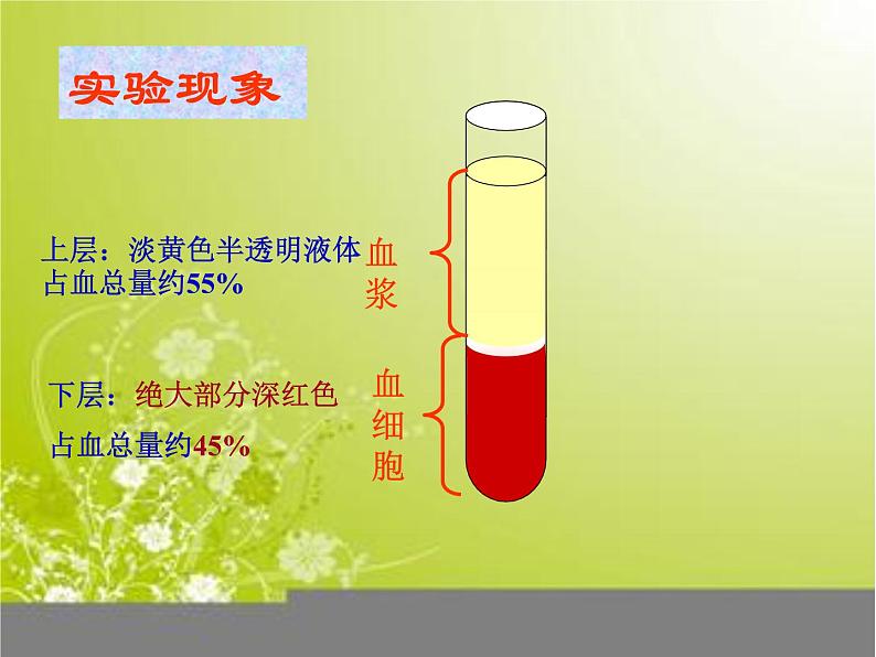 济南版七年级下册生物 3.1物质运输的载体 课件08