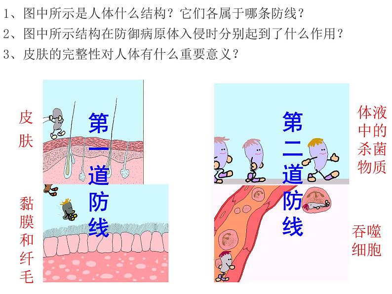 济南版七年级下册生物 6.1人体的免疫功能 课件第6页