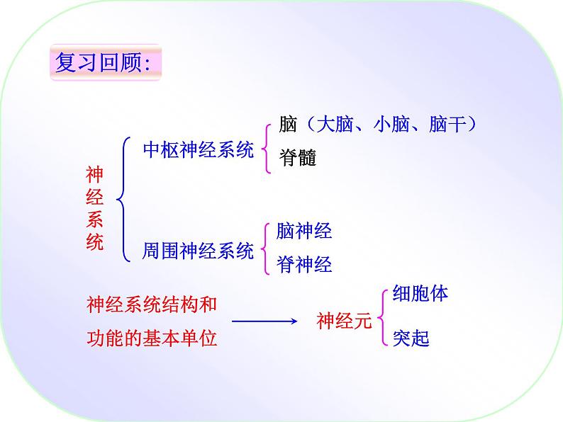 济南版七年级下册生物 5.3神经调节的基本方式 课件第2页