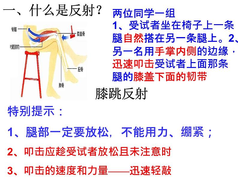 济南版七年级下册生物 5.3神经调节的基本方式 课件第7页