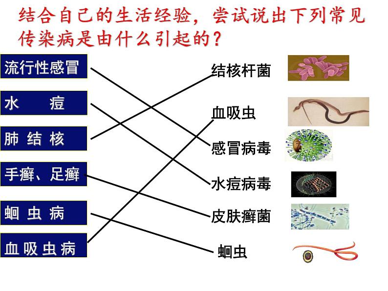 济南版七年级下册生物 6.2传染病及其预防 课件07