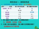 濟(jì)南版七年級(jí)下冊(cè)生物 4.1尿液的形成和排出 課件