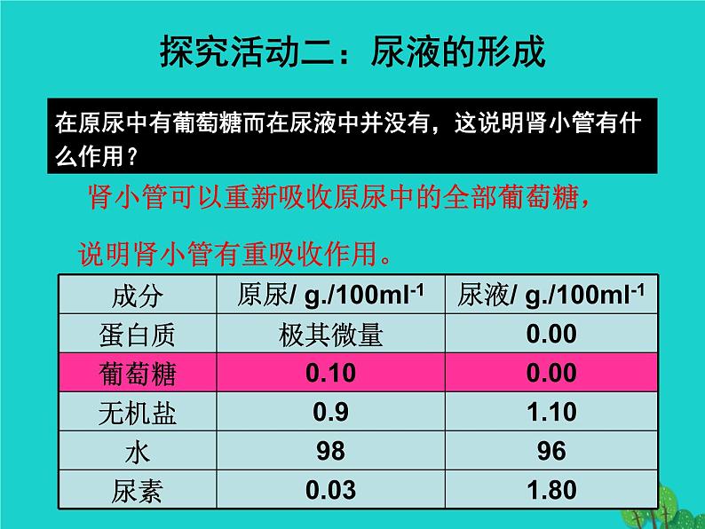 济南版七年级下册生物 4.1尿液的形成和排出 课件07