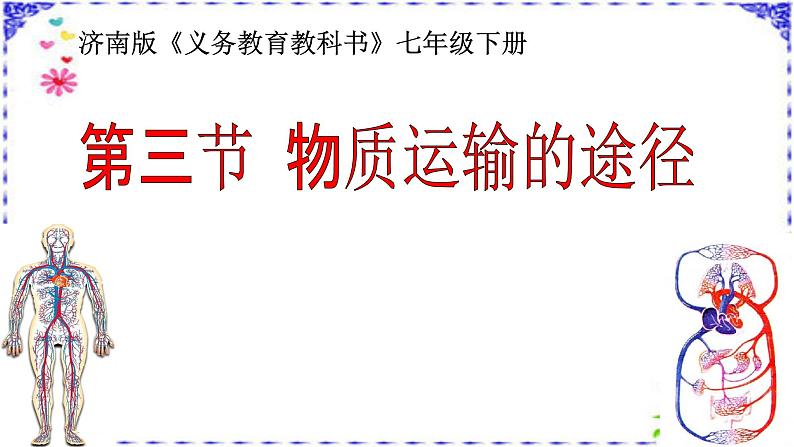 济南版七年级下册生物 3.3物质运输的途径 课件第1页