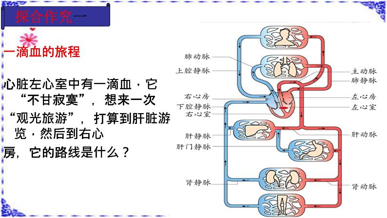 济南版七年级下册生物 3.3物质运输的途径 课件第6页