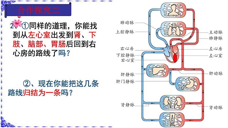 济南版七年级下册生物 3.3物质运输的途径 课件第7页