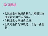 济南社八年级下册生物  6.2.1生态系统的组成 课件