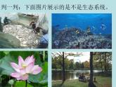 济南社八年级下册生物  6.2.1生态系统的组成 课件