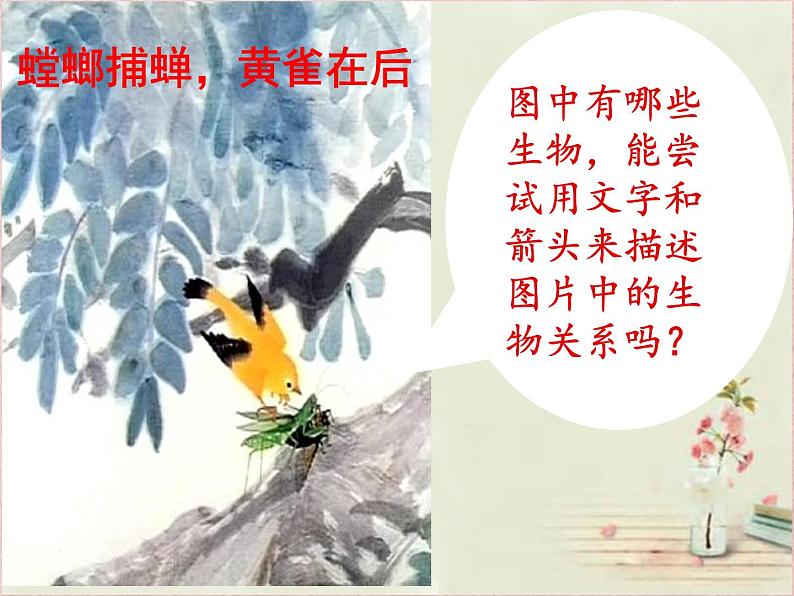 济南社八年级下册生物  6.2.2食物链和食物网 课件第5页