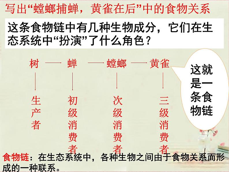济南社八年级下册生物  6.2.2食物链和食物网 课件第6页