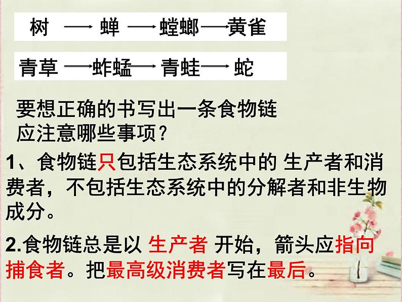 济南社八年级下册生物  6.2.2食物链和食物网 课件第8页