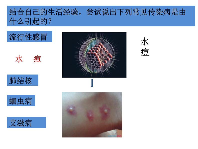 冀教版七年级下册生物 6.2 疾病与预防 课件第7页