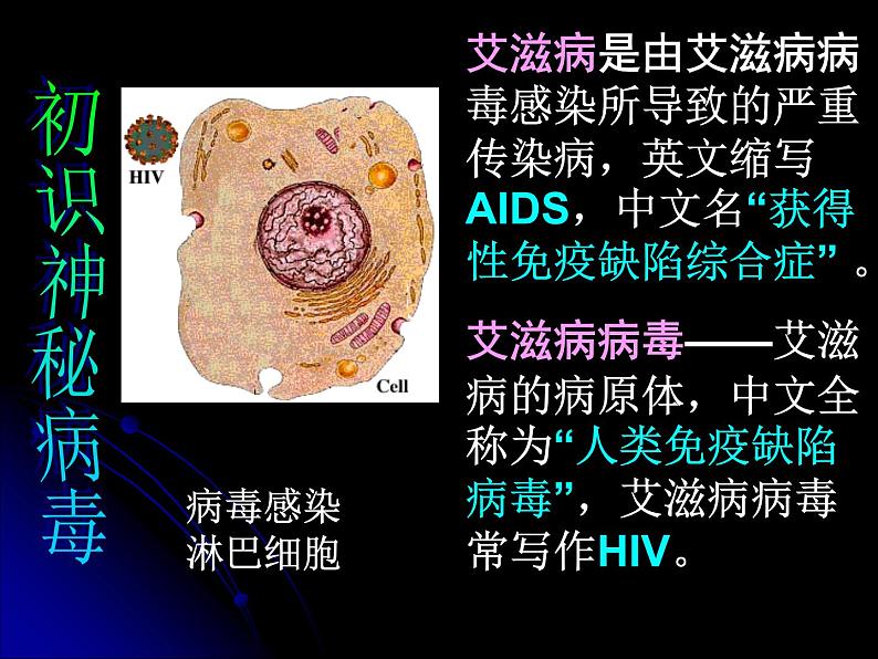 冀教版七年级下册生物 6.3 艾滋病的发生与流行 课件06