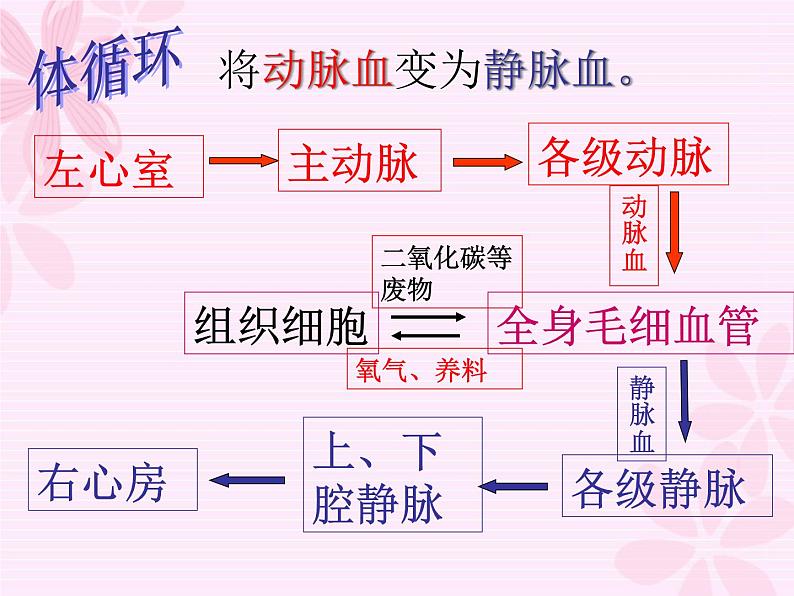 冀教版七年级下册生物 2.3物质运输的路线 课件第5页