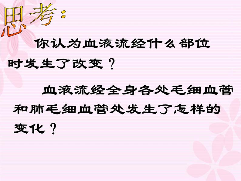 冀教版七年级下册生物 2.3物质运输的路线 课件第7页