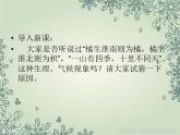 冀教版八年级下册生物  7.1.1环境对生物的影响 课件