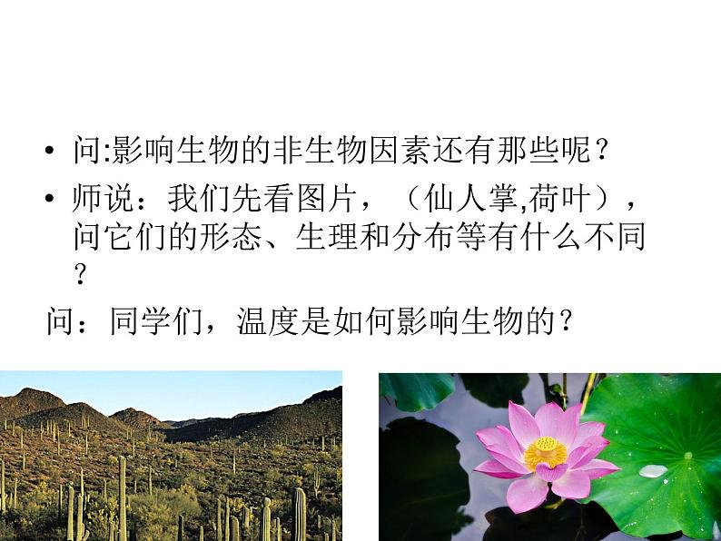 冀教版八年级下册生物  7.1.1环境对生物的影响 课件第8页