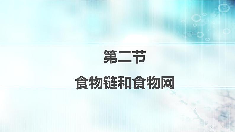 冀教版八年级下册生物  7.2.2食物链和食物网 课件第5页