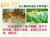 冀教版八年级下册生物  7.1.2生物对环境的适应和影响 课件