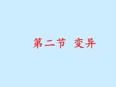 冀教版八年级下册生物  6.2.2变异 课件