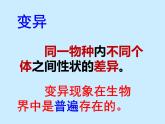 冀教版八年级下册生物  6.2.2变异 课件