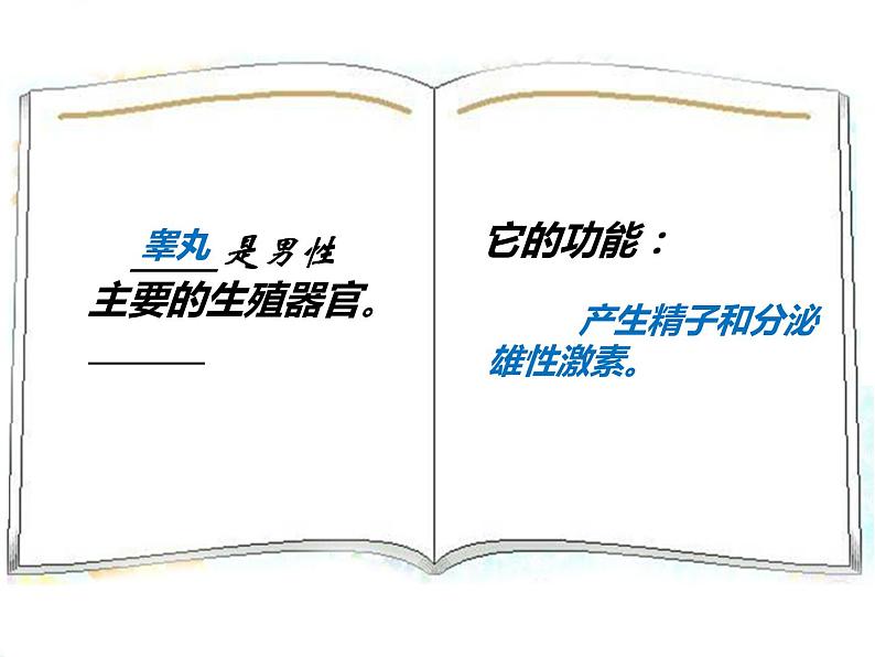 冀教版八年级下册生物  6.1.3人的生殖和胚胎发育 课件05