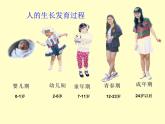 苏教版七年级下册生物 8.2人的生长发育和青春期 课件