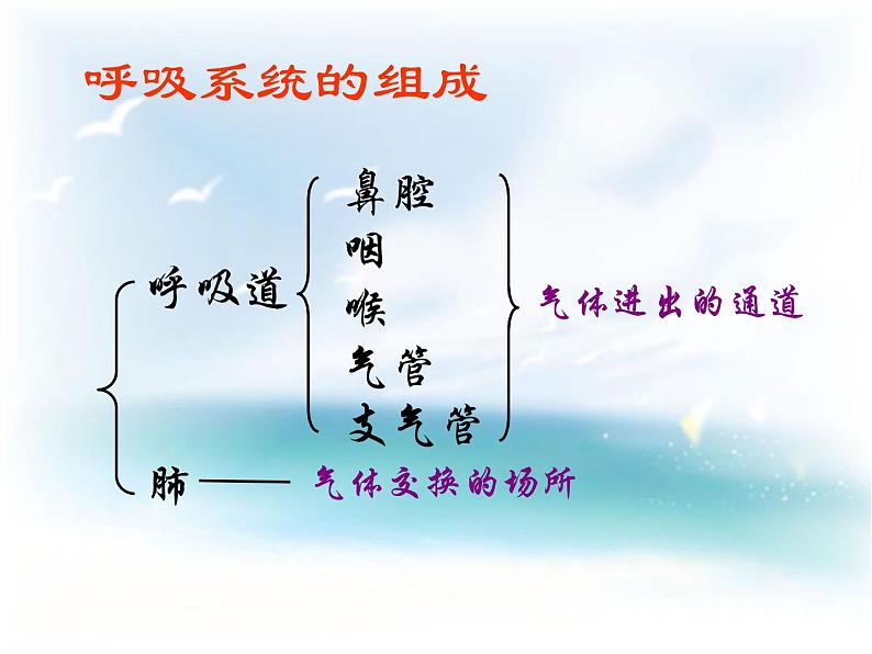 苏教版七年级下册生物 10.3人体和外界环境的气体交换 课件第4页