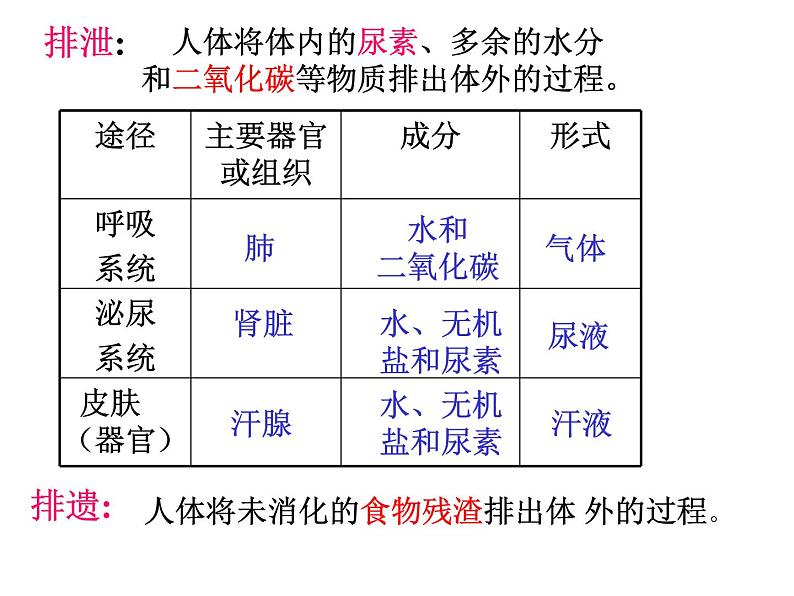 苏教版七年级下册生物 11.2人体废物的排出 课件第2页