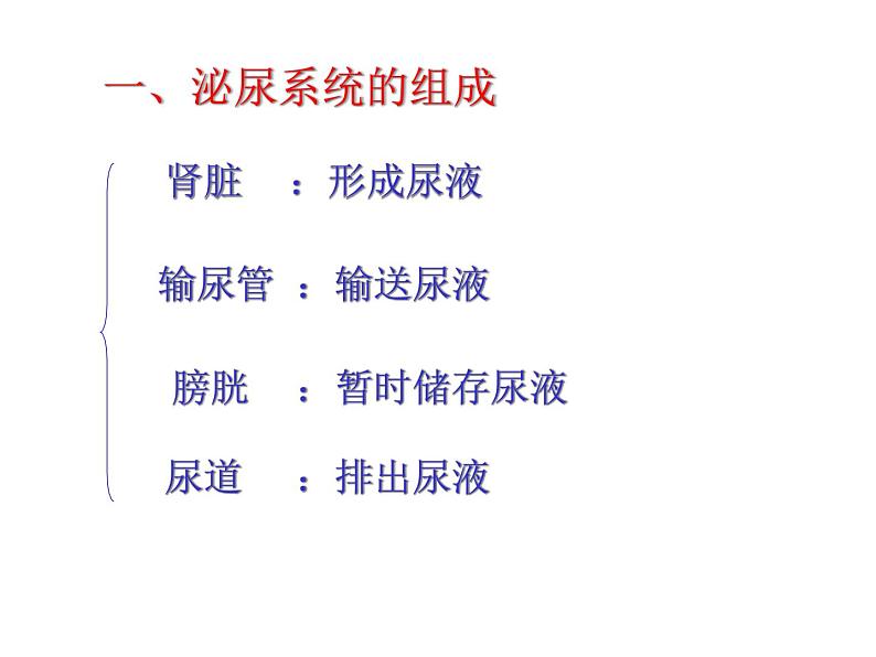 苏教版七年级下册生物 11.2人体废物的排出 课件第4页