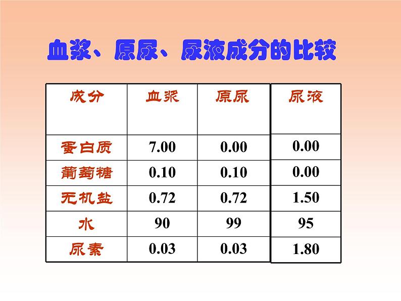 苏教版七年级下册生物 11.2人体废物的排出 课件第7页