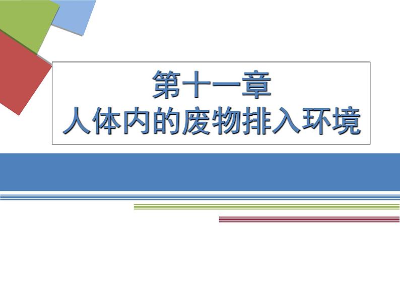 苏教版七年级下册生物 11.1人体泌尿系统的组成 课件01