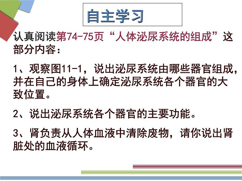 苏教版七年级下册生物 11.1人体泌尿系统的组成 课件04