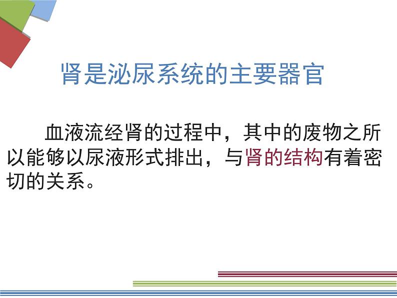 苏教版七年级下册生物 11.1人体泌尿系统的组成 课件07