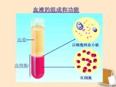 苏教版七年级下册生物 10.1血液和血型 课件