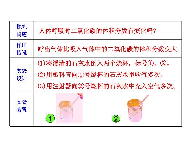 苏教版七年级下册生物 10.4人体内的气体交换 课件第3页