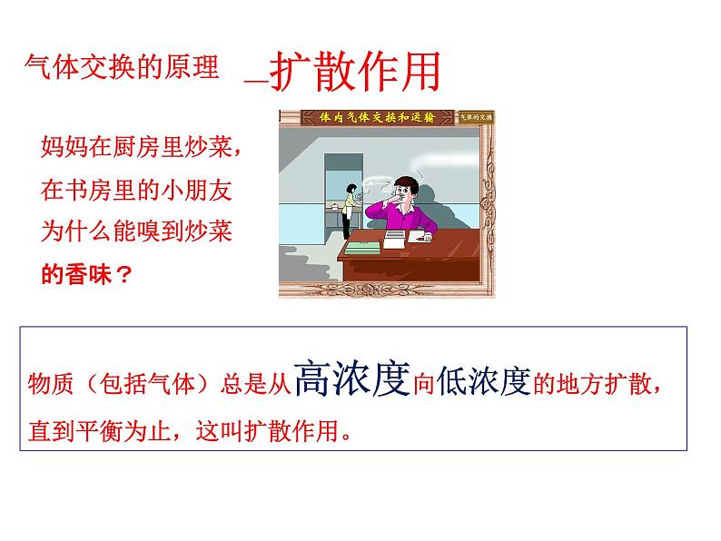 苏教版七年级下册生物 10.4人体内的气体交换 课件第6页