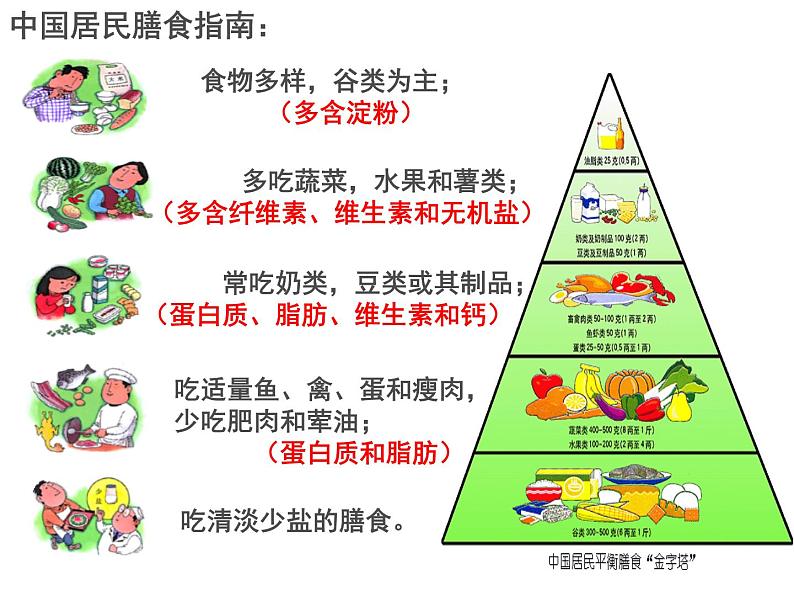 苏教版七年级下册生物 9.3膳食指南与食品安全 课件第6页