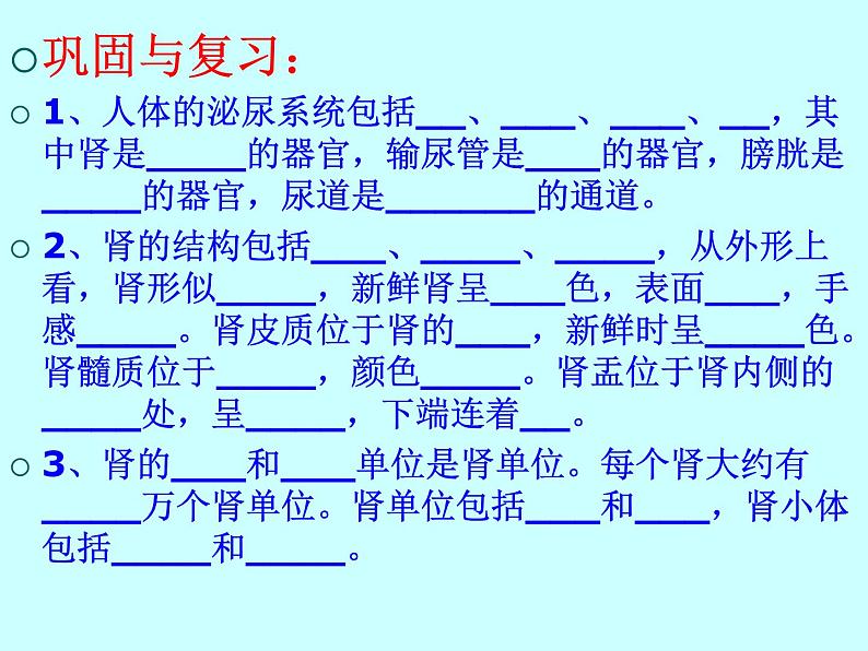 苏教版七年级下册生物 11.2人体废物的排出  课件第2页