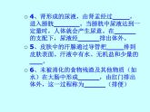 苏教版七年级下册生物 11.2人体废物的排出  课件