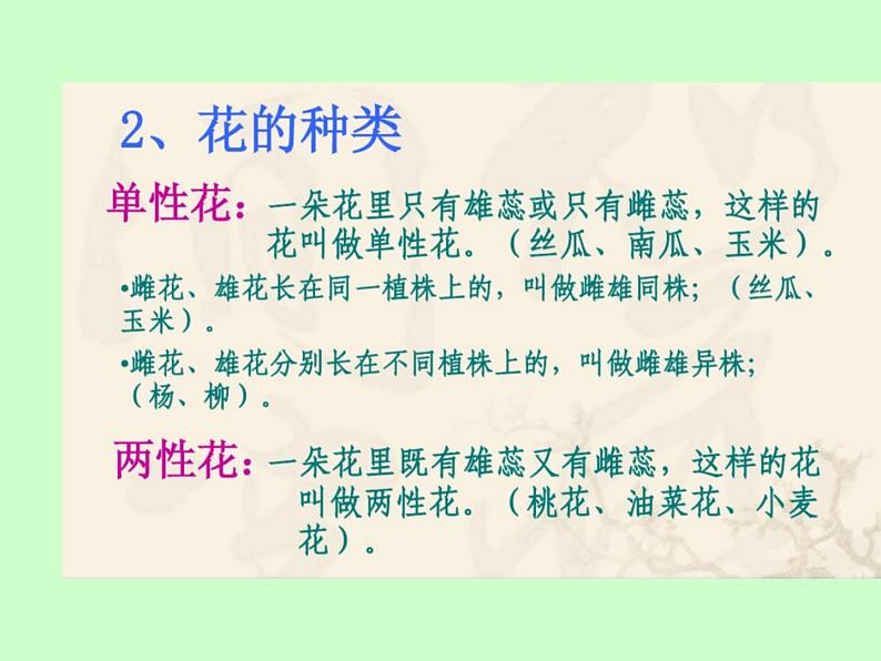 苏教版八年级下册生物 21.2植物的有性生殖 课件04