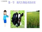 蘇教版八年級(jí)下冊(cè)生物 24.1現(xiàn)代生物技術(shù)的應(yīng)用  課件