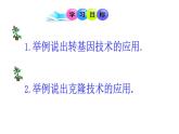 蘇教版八年級(jí)下冊(cè)生物 24.1現(xiàn)代生物技術(shù)的應(yīng)用  課件