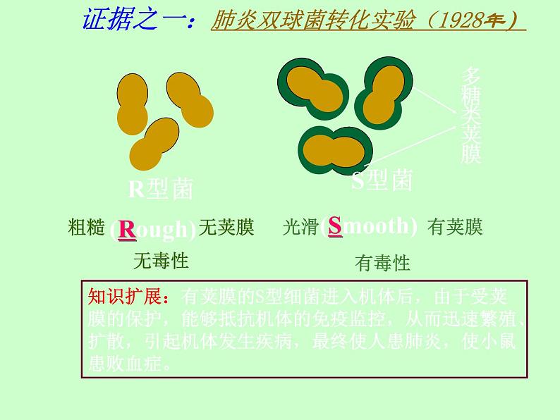 苏教版八年级下册生物 22.1DNA是主要的遗传物质 课件04