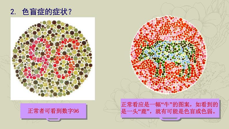 苏教版八年级下册生物 22.4遗传病和优生优育 课件04