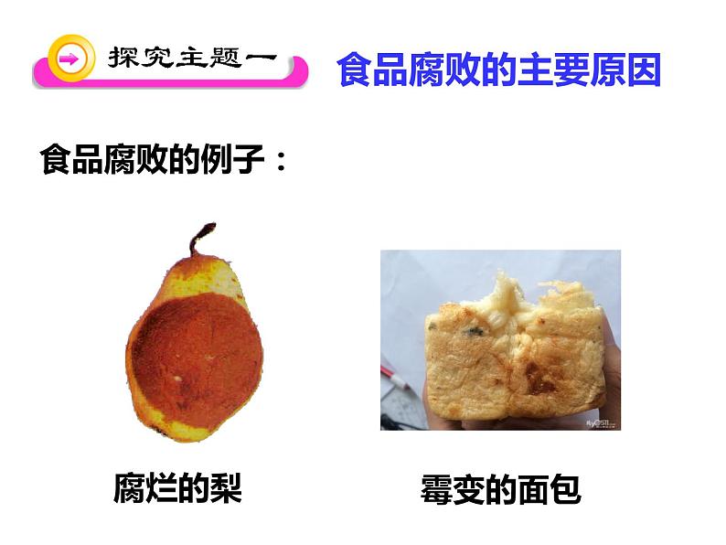 苏教版八年级下册生物 23.2食品保存 课件04