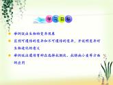 苏教版八年级下册生物 22.5生物的变异 课件