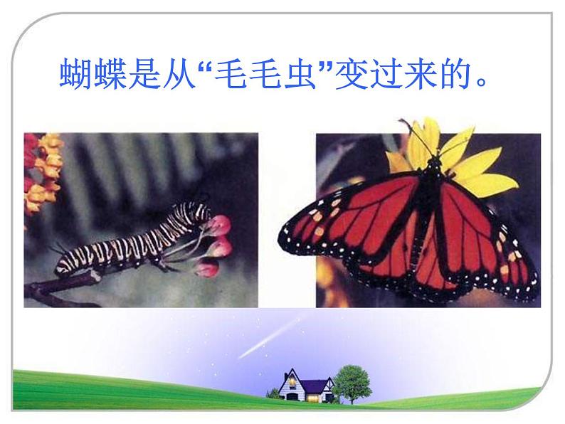 苏教版八年级下册生物 21.3昆虫的生殖与发育 课件02